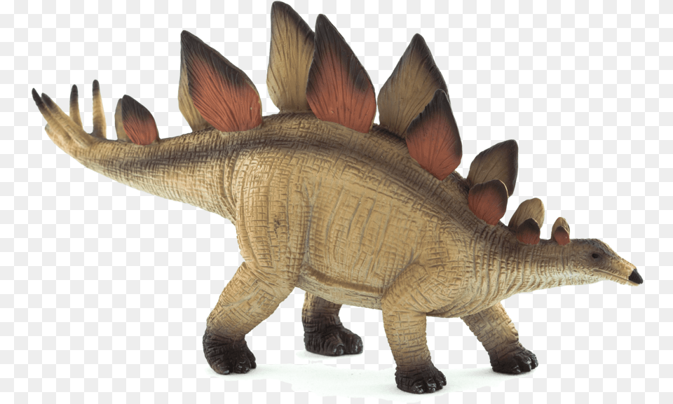 Stegosaurus New 2015 From Moj Stegosaurus, Animal, Fish, Sea Life, Dinosaur Png