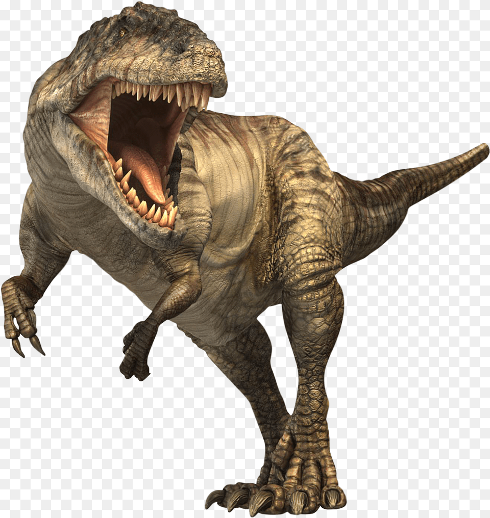 Stegosaurus T Rex Dinosaurs, Animal, Dinosaur, Reptile, T-rex Free Png