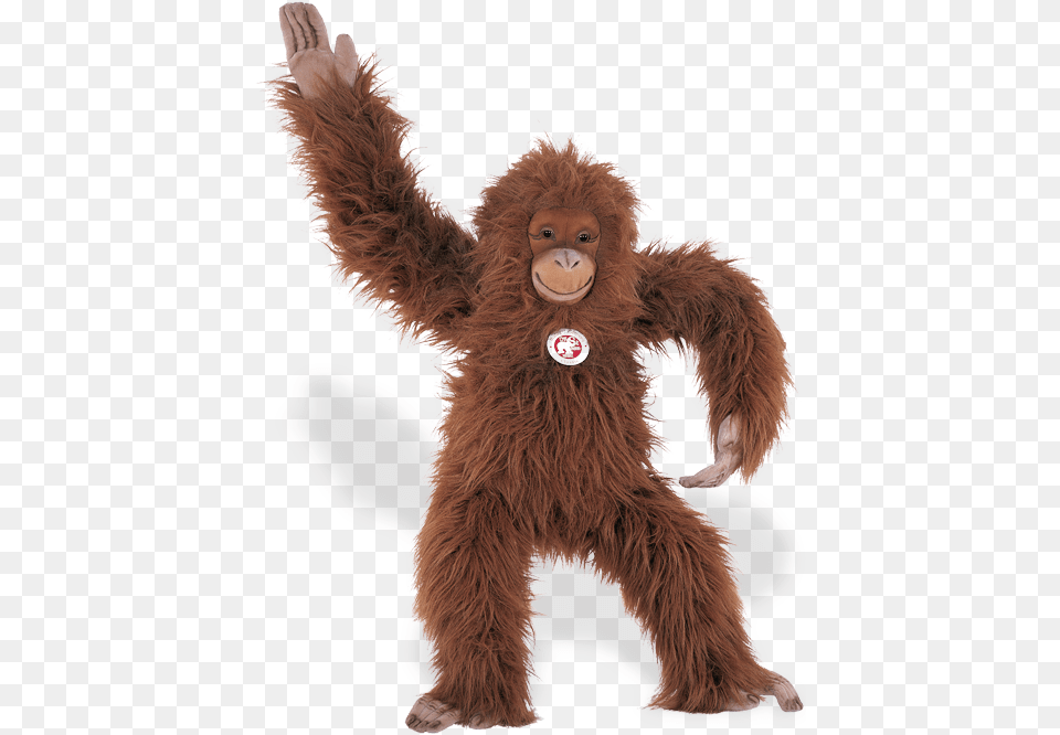 Steiff Studio Orangutan Orang Outang, Teddy Bear, Toy, Animal, Wildlife Png