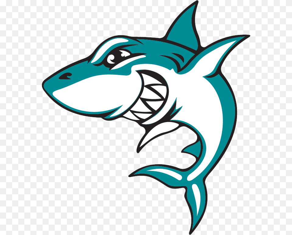 Steinbeck Elementary School Fresno Sharks, Animal, Sea Life, Fish, Shark Png