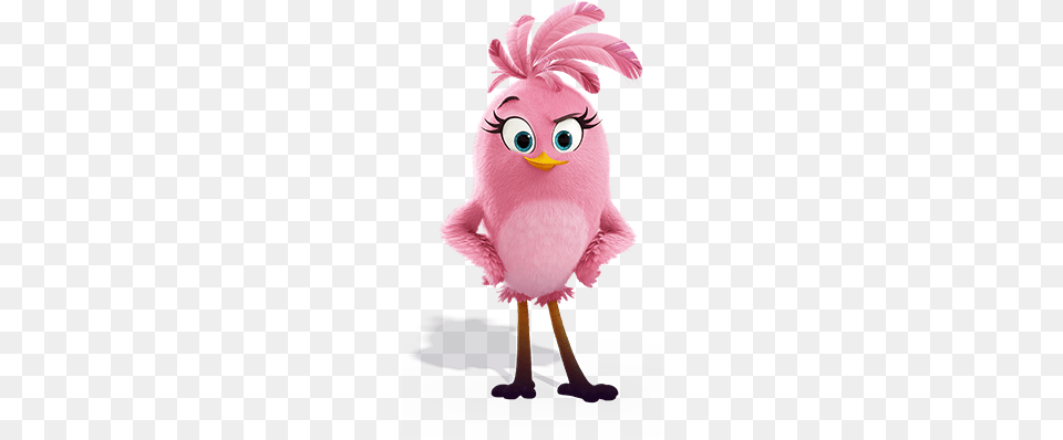 Stella Angry Birds Stella Film, Animal, Bird Png Image