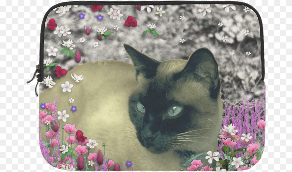 Stella In Flowers I Chocolate Cream Siamese Cat Microsoft, Animal, Flower, Mammal, Pet Png Image