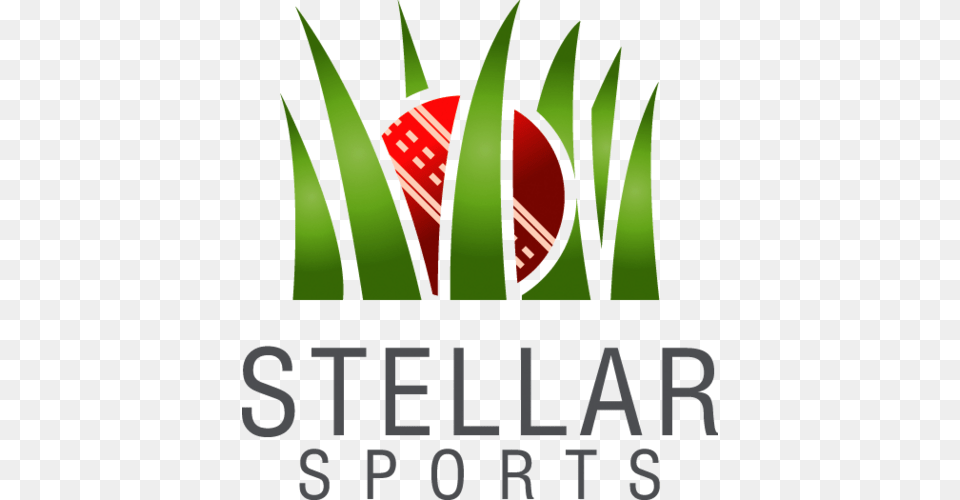 Stellar Sports Ltd Diversity Celebration, Scoreboard Png
