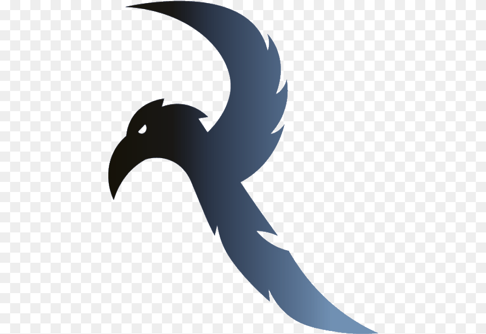 Steller S Jay, Animal, Fish, Sea Life, Shark Free Transparent Png