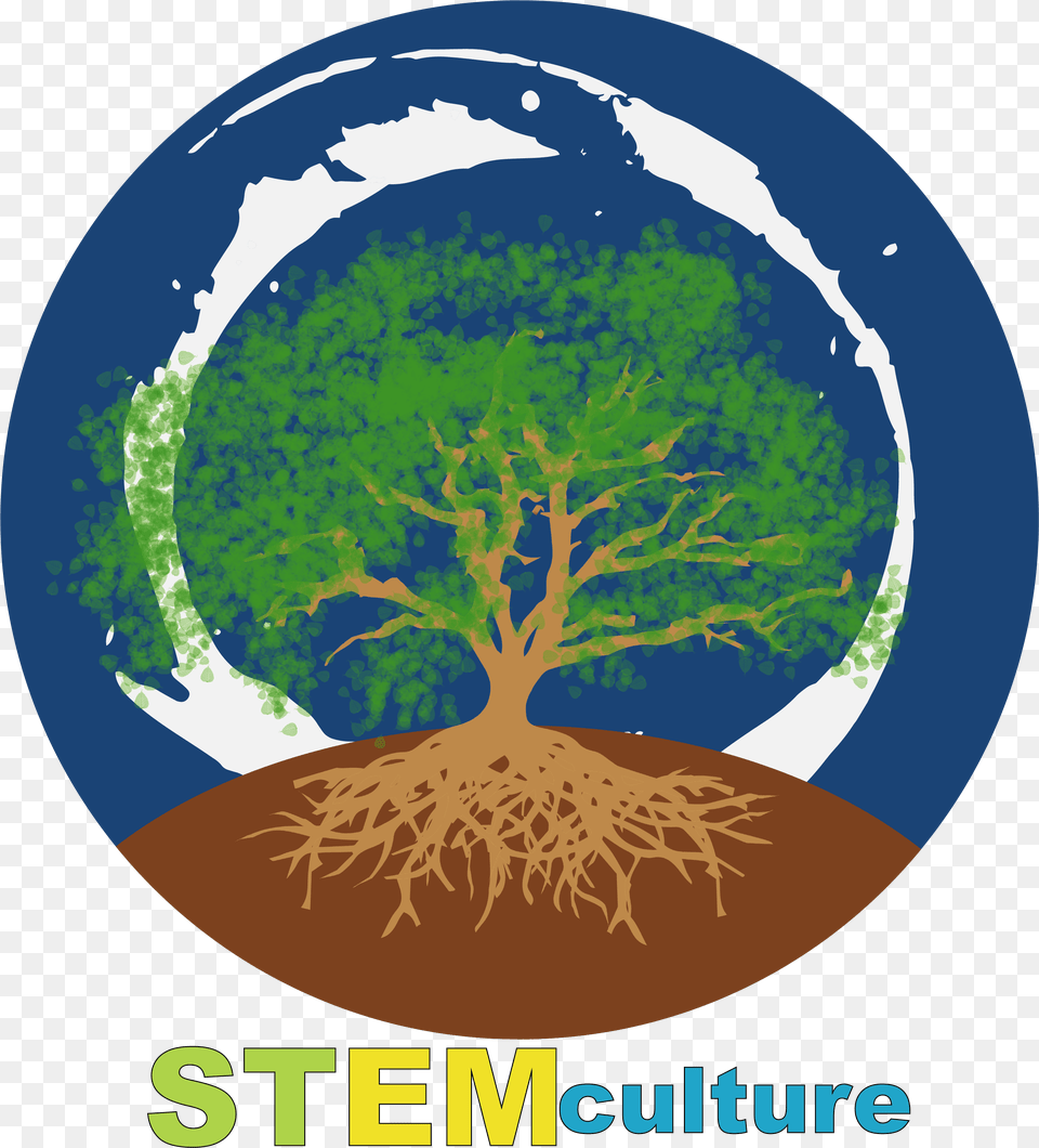Stem, Plant, Tree, Root Png Image