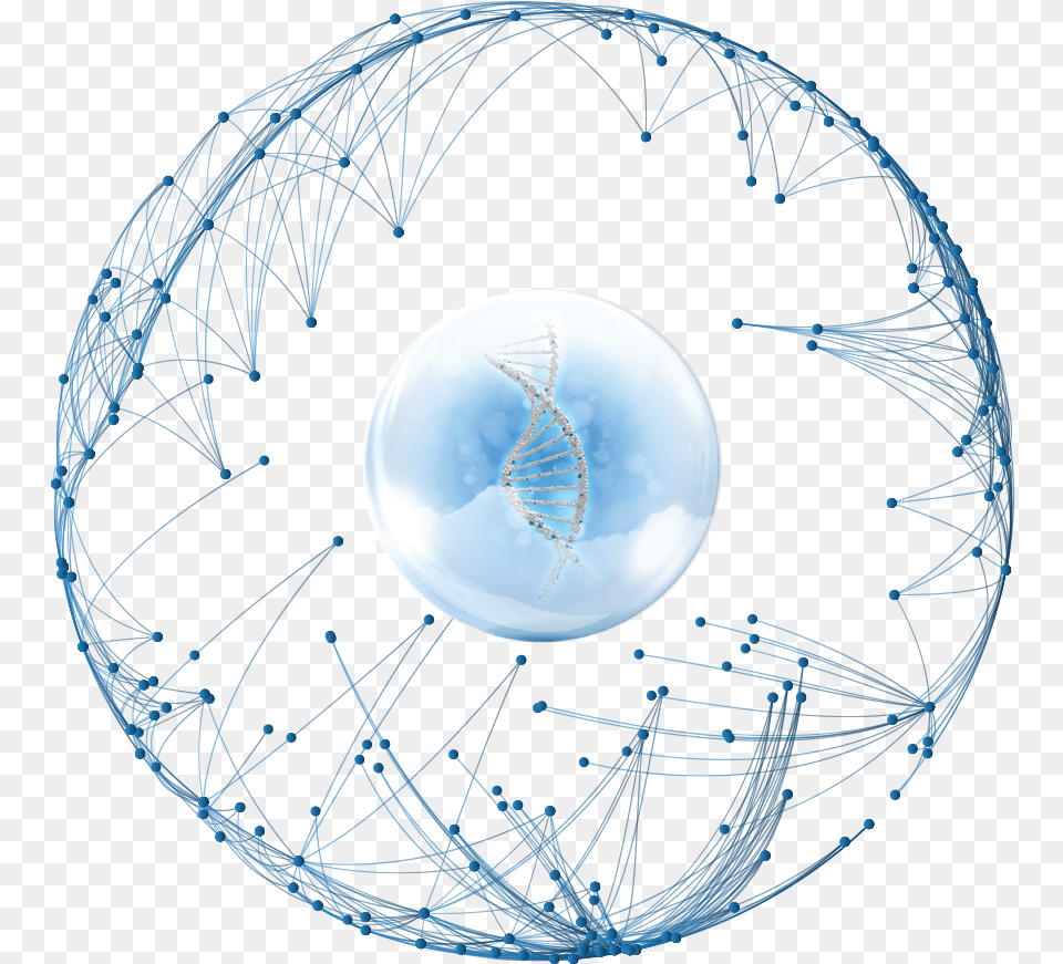 Stem Cell Therapy Stem Cells Stemcells21 Stem Cell Technology Earth, Pattern, Sphere, Accessories, Ornament Png
