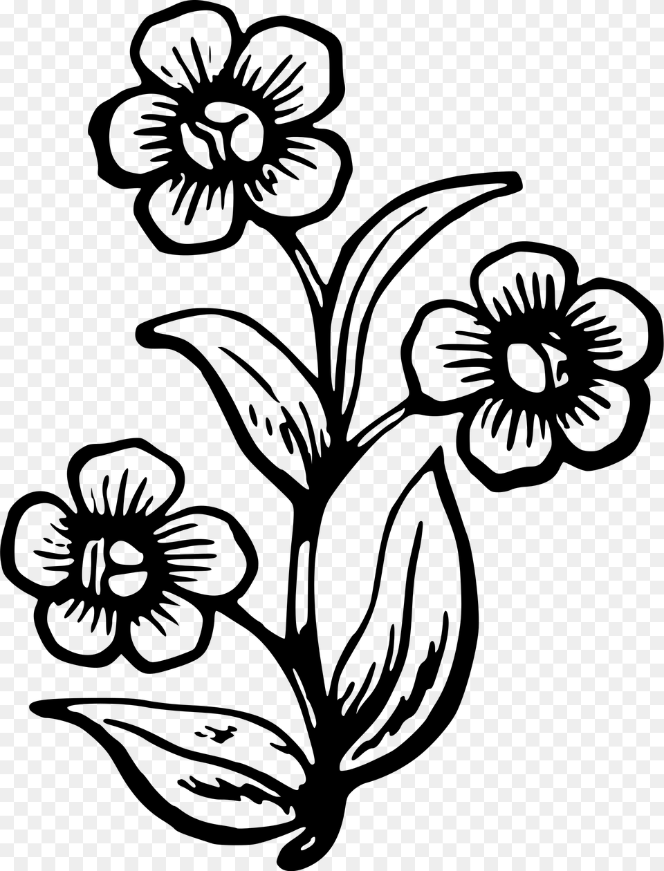 Stem Clipart Big Flower, Gray Free Png