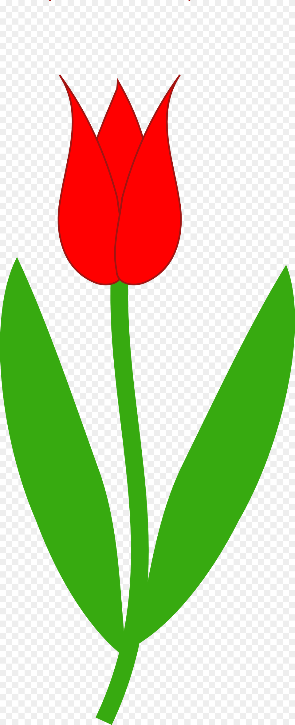 Stem Clipart Tulip, Flower, Leaf, Plant, Rose Png