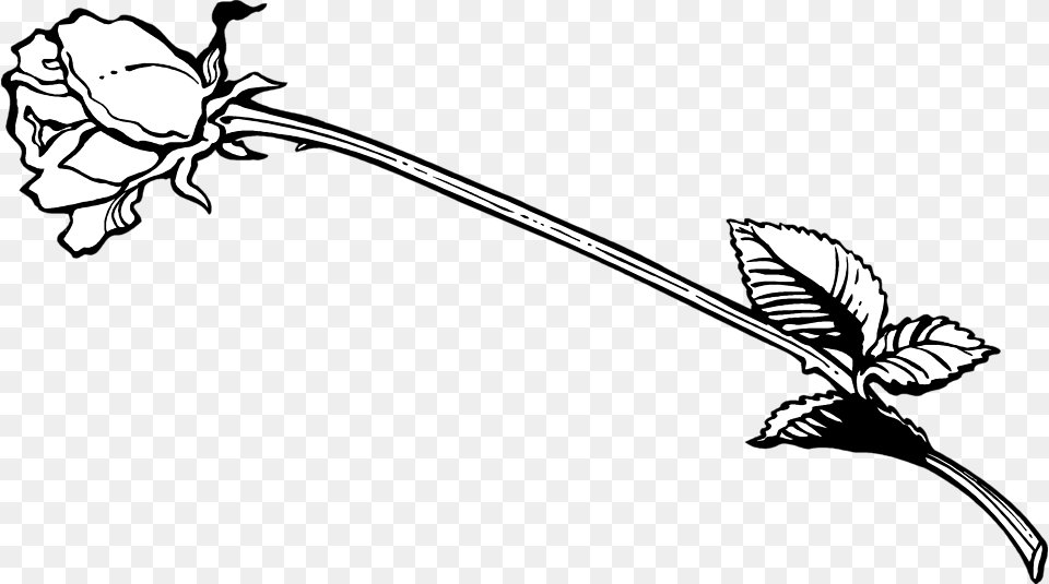 Stem Drawing Outline, Flower, Leaf, Plant, Rose Free Png
