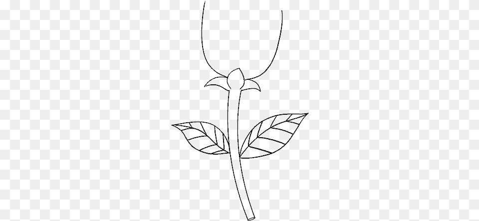 Stem Drawing Plant Sketch, Gray Free Png