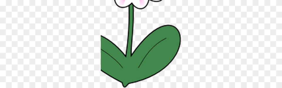 Stem Clipart, Flower, Petal, Plant, Leaf Free Png