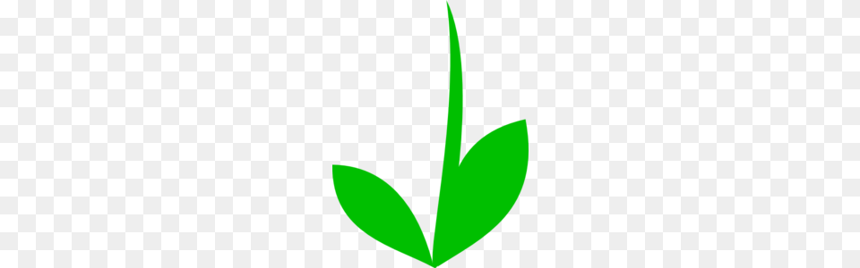 Stem Green Clip Art, Plant, Leaf, Herbal, Herbs Free Png
