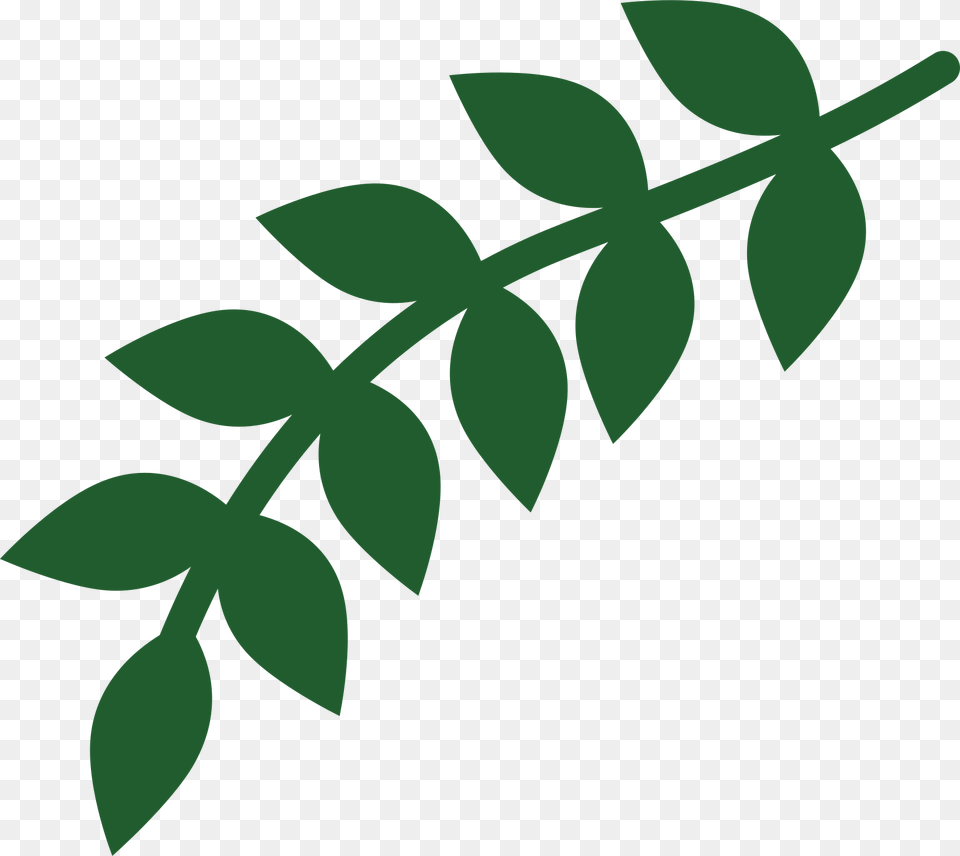 Stem Leaf Clip Art, Green, Herbal, Herbs, Plant Png Image