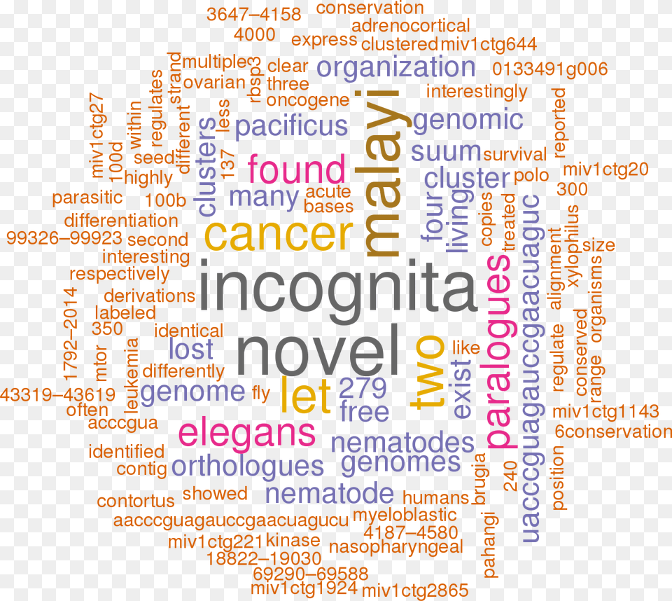 Stem Loop Sequence Asu Mir 100a Thematic Words Cloud, Text Png