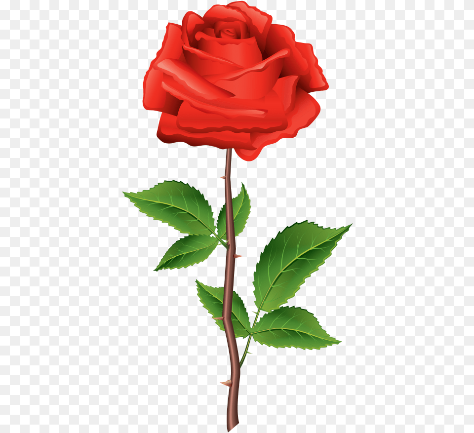 Stem Red Rose Clipart Photo Transparent Flower With Stem, Plant, Leaf Png