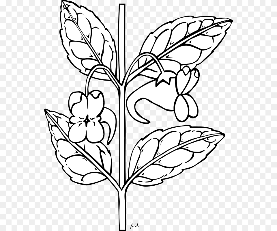 Stem With Flower Outline Clip Art Vector Clip Clipart Flower Stem Outline, Leaf, Plant, Stencil, Pattern Png