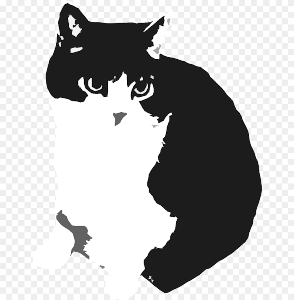 Stencil Graffiti Drawing Cat Silhouette Stencil Graffiti Cat, Adult, Wedding, Person, Woman Free Transparent Png