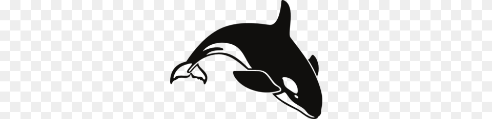 Stencils Whale Killer Whales Whale, Animal, Dolphin, Mammal, Sea Life Png