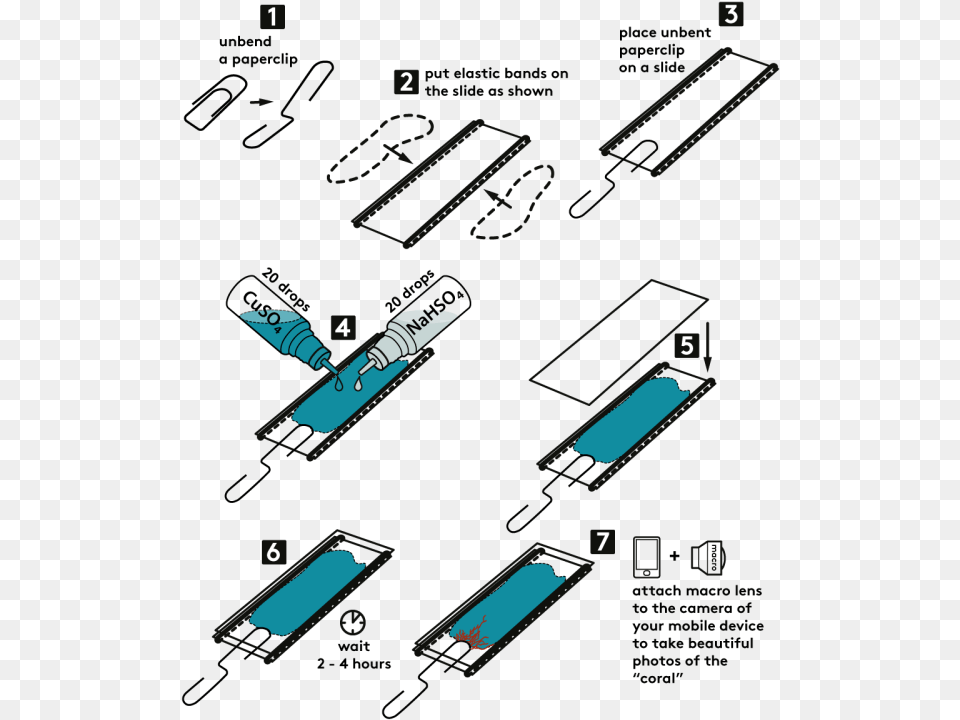 Step By Step Instructions Diagram, Outdoors Free Png