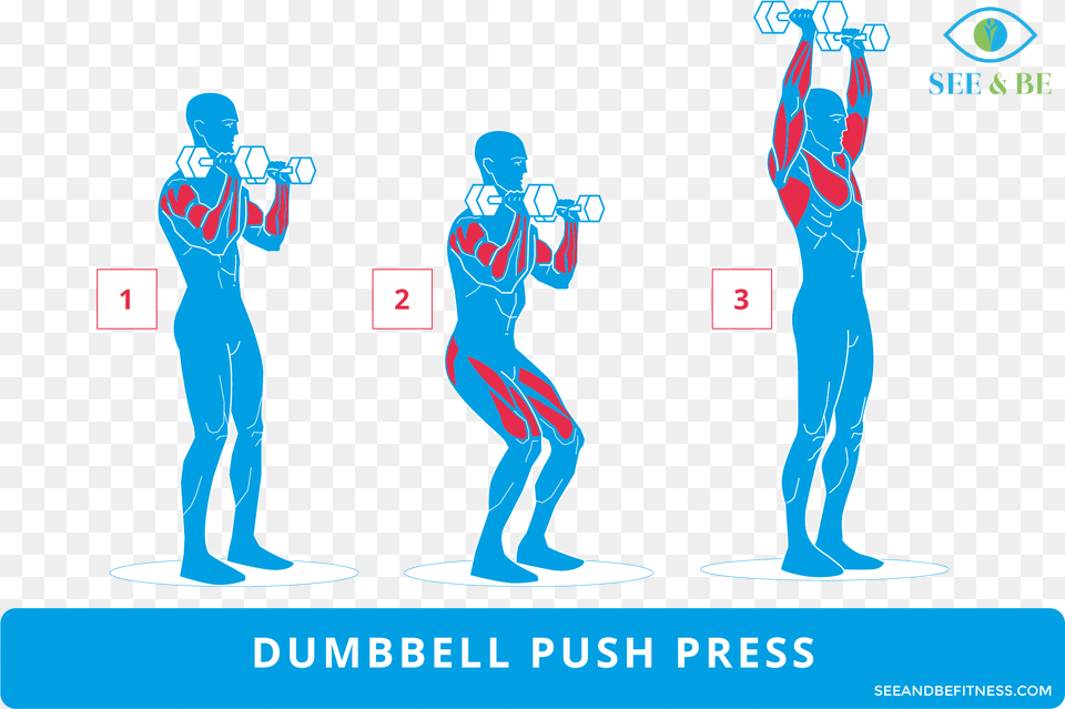 Step Up Knee Raise Muscles Worked, Adult, Female, Male, Man Free Png Download