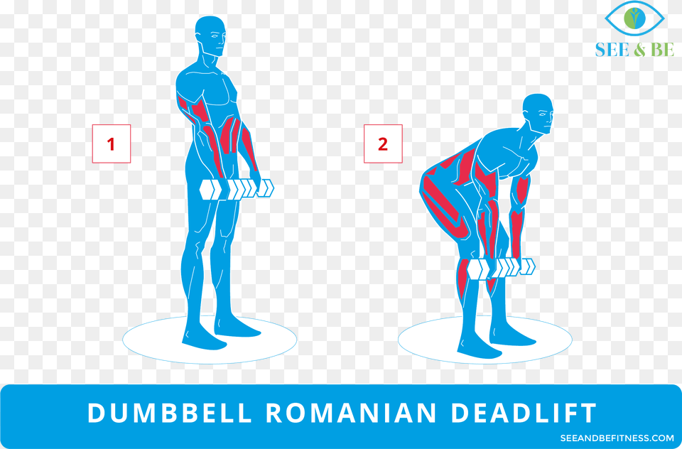 Step Up Knee Raise Muscles Worked, Adult, Male, Man, Person Free Png