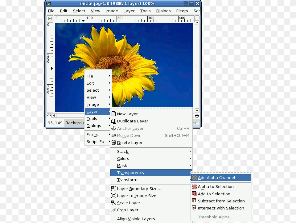 Step4 Easy Gif Animator, Flower, Plant, Sunflower, Petal Free Png Download