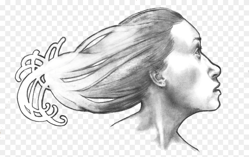 Steph Guidera Artist Sketch, Head, Portrait, Photography, Face Free Transparent Png