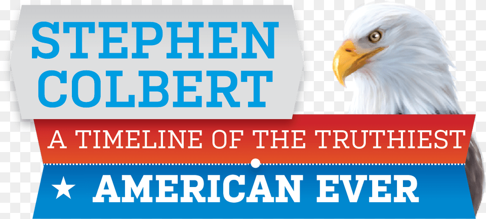 Stephen Colbert Featured Aparados Da Serra National Park, Animal, Beak, Bird, Eagle Free Png
