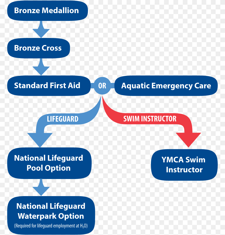 Steps To Become A Lifeguard Or Swim Instructor Become A Lifeguard In Canada, Text Png