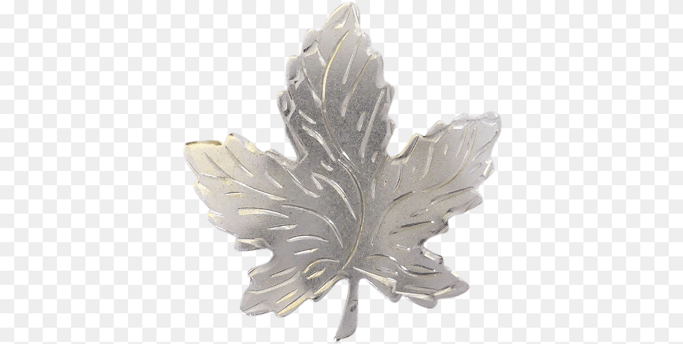 Sterling Silver Canadian Maple Leaf Brooch Signed Maple Leaf, Plant, Accessories, Jewelry Png Image