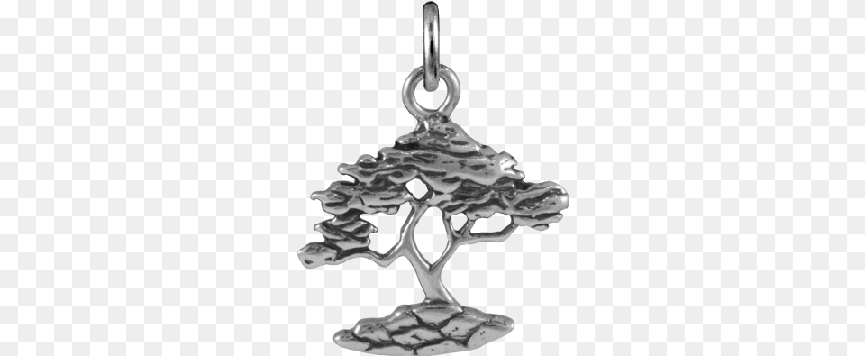 Sterling Silver Cypress Tree Charms Locket, Accessories, Earring, Jewelry, Chandelier Free Png