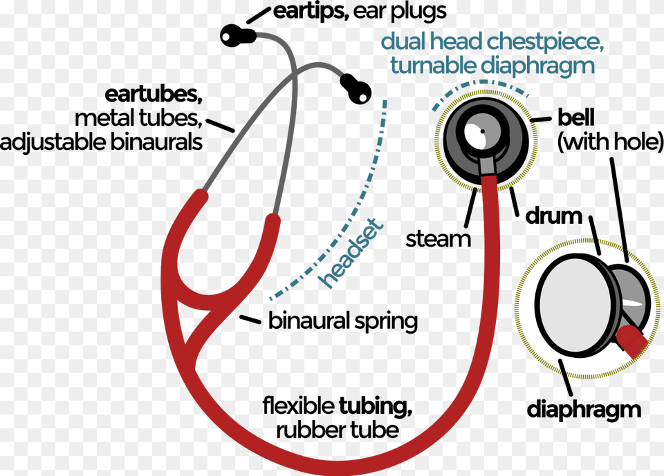 Stethoscope Parts And Functions Pdf Free Transparent Png