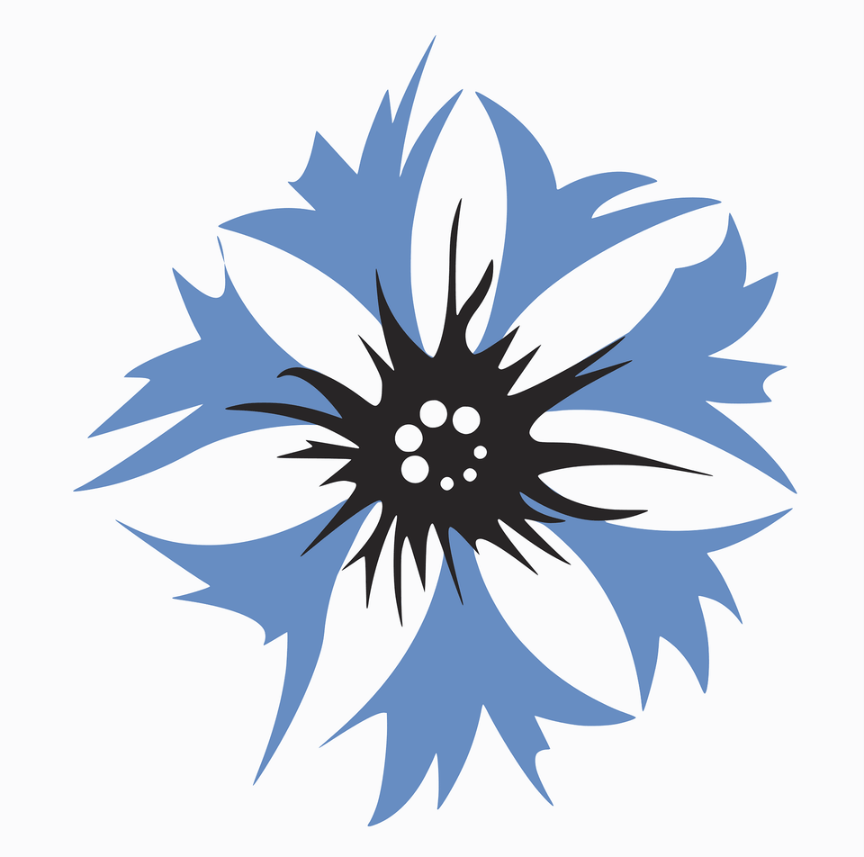 Steuben Parade Cornflower Logo Clipart, Graphics, Art, Floral Design, Pattern Png Image