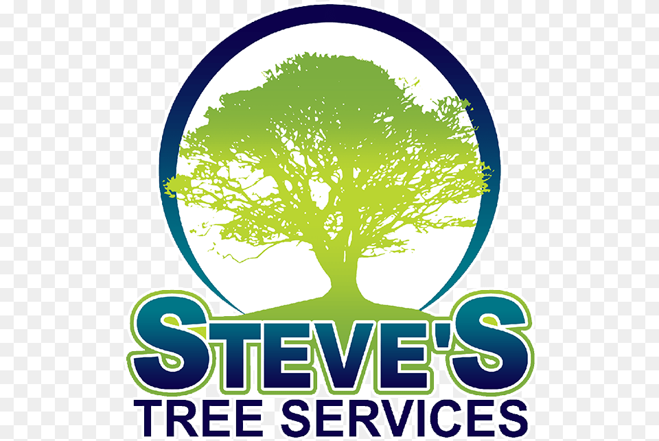 Steve S Tree Service Oak Tree Silhouette, Plant, Sticker, Advertisement, Logo Png Image