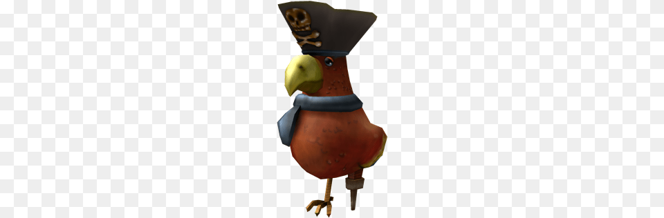 Steve The Pirate Parrot Roblox Pirate, Animal, Beak, Bird Free Png
