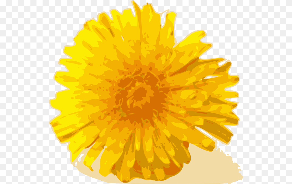 Steve Yellow Plants Flower Flowers Cartoon Bloom Dandelion Clip Art, Plant, Petal Png