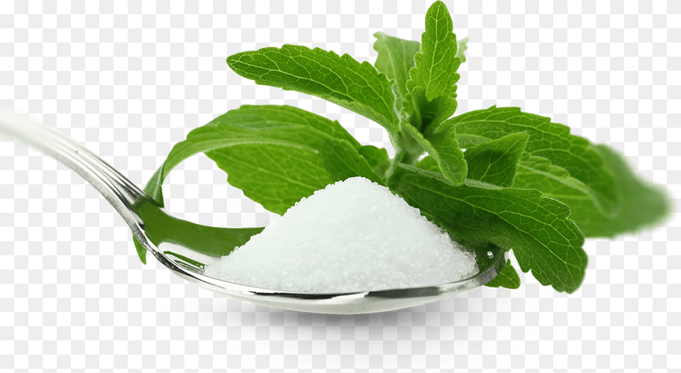 Stevia And Sugar Stevia, Cutlery, Herbs, Mint, Plant Free Png Download