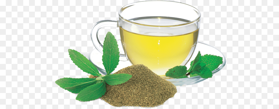 Steviasweet Z Natural Foods Stevia Leaf Powder Organic 44 Lbs, Beverage, Green Tea, Herbal, Herbs Free Png Download