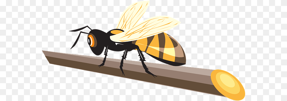 Stick Animal, Bee, Honey Bee, Insect Png Image