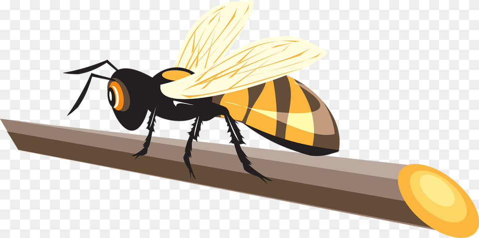 Stick Clipart, Animal, Bee, Honey Bee, Insect Png