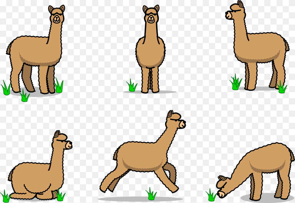 Stick Figure, Animal, Person, Mammal, Baby Free Png Download