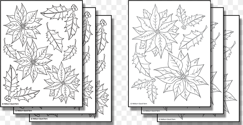 Stick N Burn Multiples Line Art, Plant, Floral Design, Graphics, Pattern Free Png