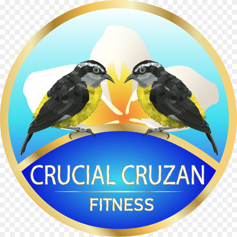 Sticker, Animal, Bird, Finch, Logo Free Png