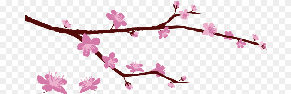 Sticker Branche Cerisier Color Stickers Start A Breast Cancer Support Group, Flower, Plant, Cherry Blossom Png Image