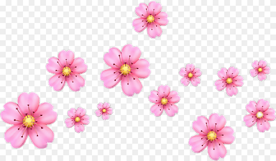 Sticker By Nadyusha Iphone Pink Flower Emoji High Flower Crown Emoji, Geranium, Petal, Plant, Anther Free Transparent Png