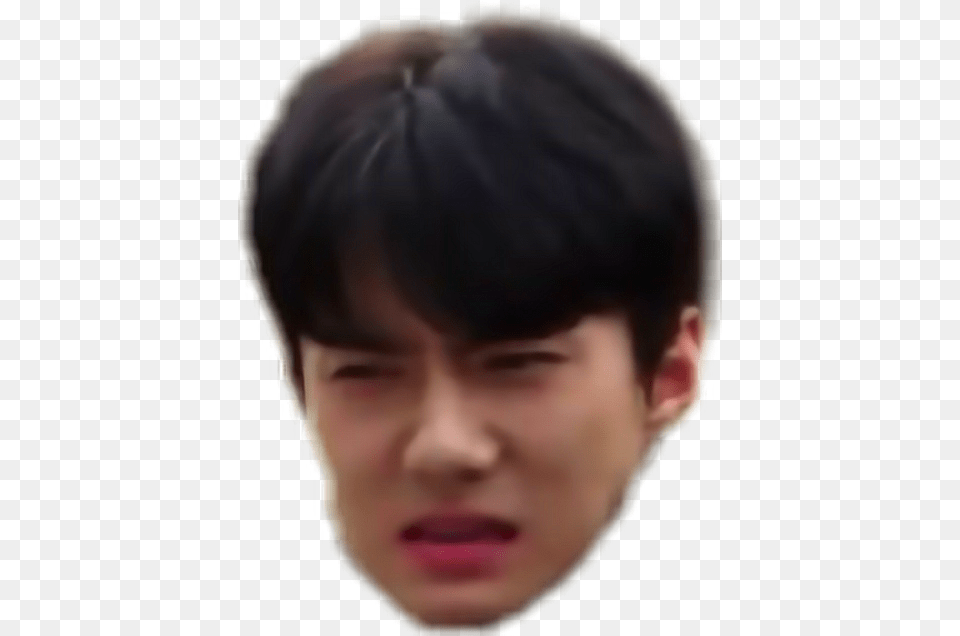 Sticker Exo Sehun Meme Sehun Meme Face, Adult, Head, Male, Man Free Png Download