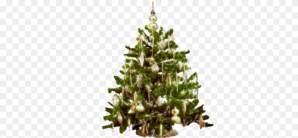 Sticker Gif Christmas Tree, Plant, Fir, Christmas Decorations, Festival Png