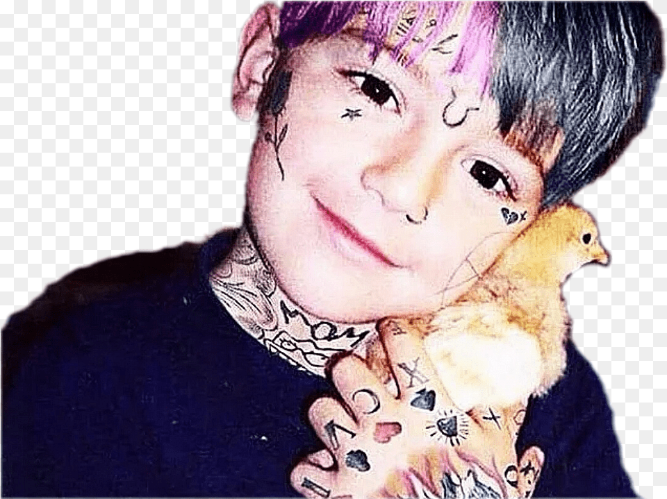 Sticker Other Lil Peep Enfant Tatouages Tatoo Poussin Emo Lil Peep Aesthetic, Face, Head, Person, Photography Free Png Download