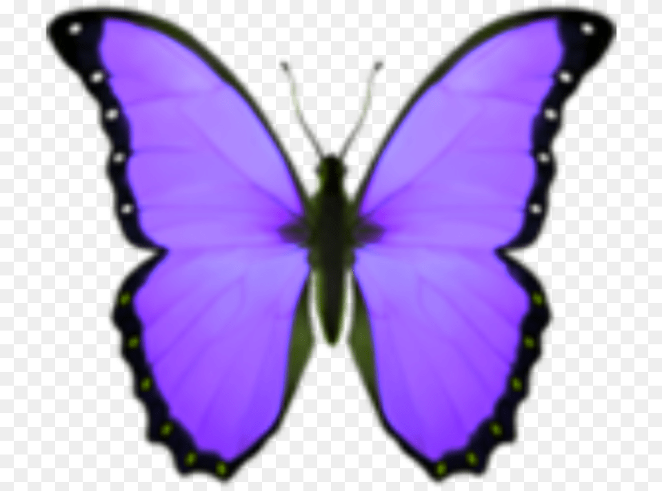 Sticker Papilio, Purple, Person, Animal, Butterfly Free Transparent Png