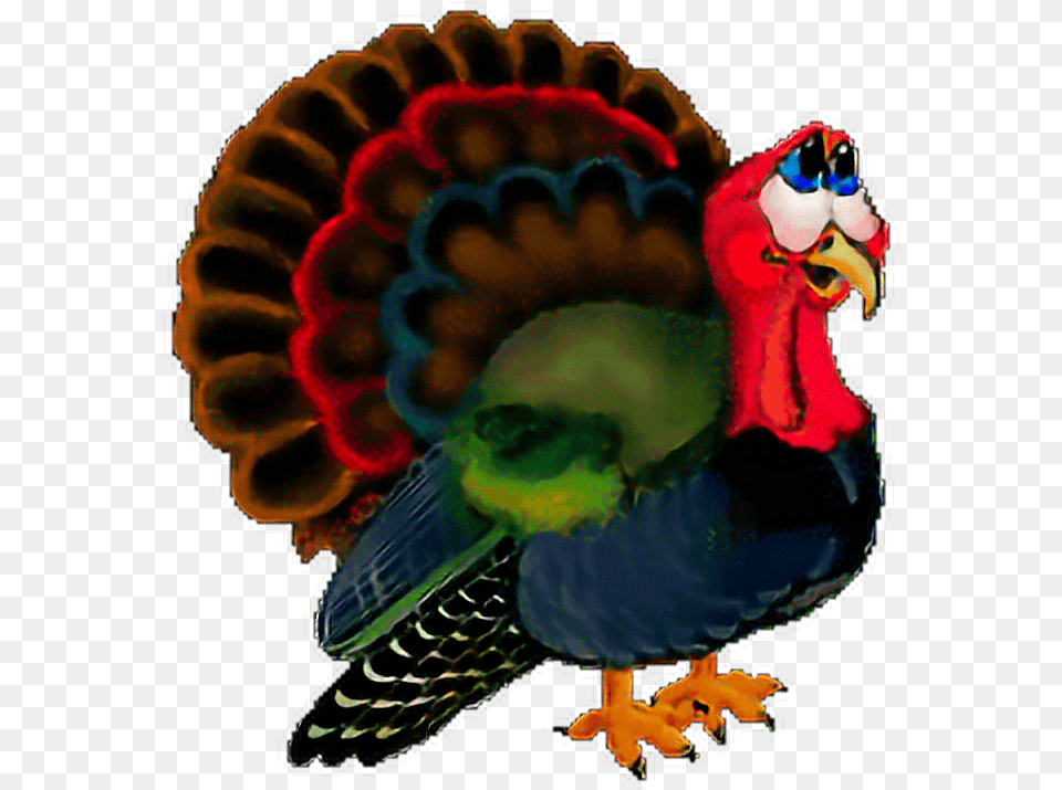 Sticker Pavo Freetoedit Animated Gif Turkey, Animal, Beak, Bird, Person Free Png